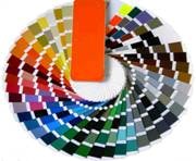 Circular paint color wheel displaying hundreds of paint swatches in a full spectrum